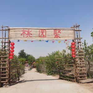 滹沱河桃園聚農(nóng)家樂