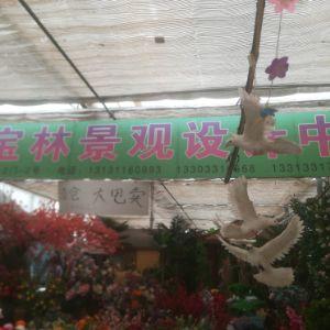 長(zhǎng)安區(qū)肖家營(yíng)聚寶林景觀設(shè)計(jì)中心