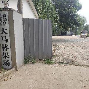 石家莊市新華區(qū)大馬林果場(chǎng)