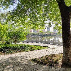 石家莊川頁(yè)信息技術(shù)有限公司